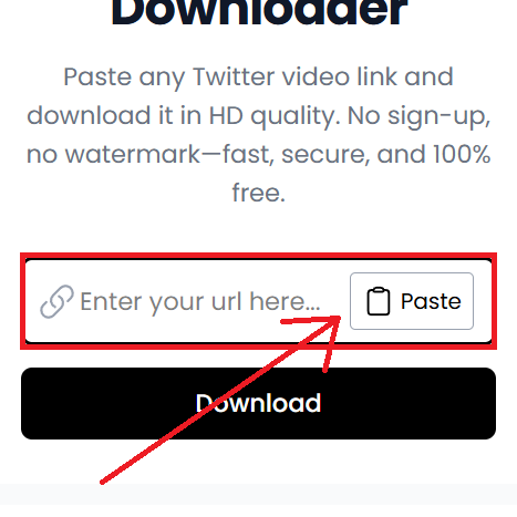 Paste in Input